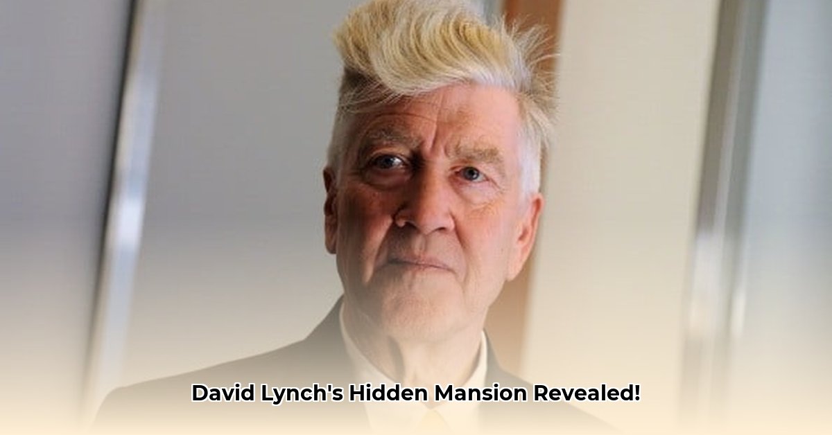 david-lynch-net-worth